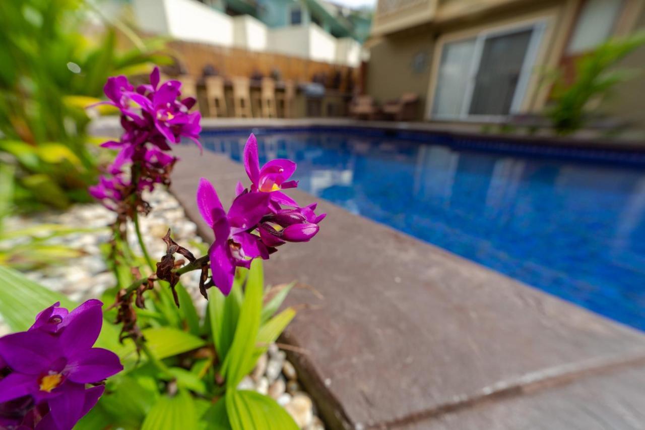 Studio With Mini Kitchen, Pool And Bbq, Pre-Renovation Summer Sale Кіхеї Екстер'єр фото